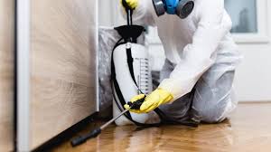 Best Pest Prevention Services  in Wood River, NE